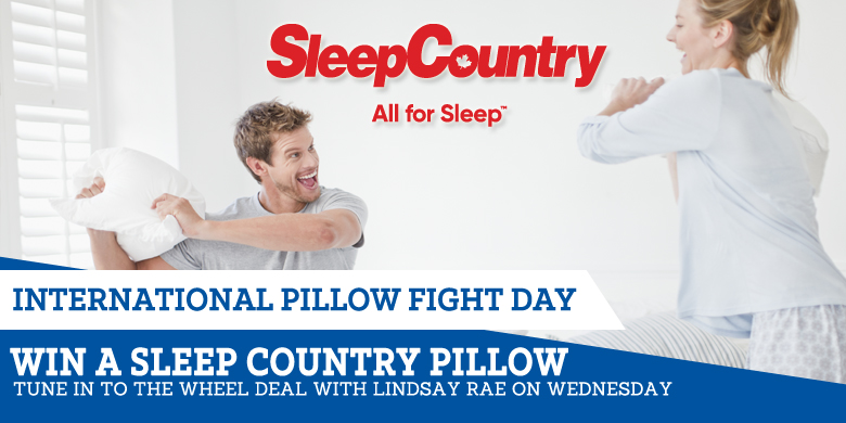 Sleep country best sale side sleeper pillow