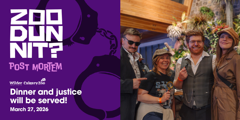 Calgary Zoo – Wild After Hours ZooDunnit: Post Mortem