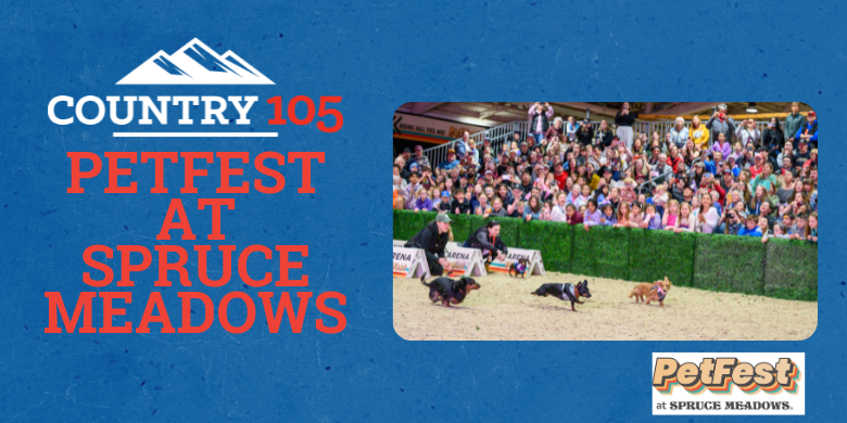 Spruce Meadows PetFest 2026