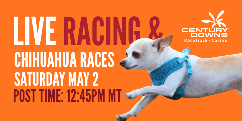 Century Downs – Chihuahua Races